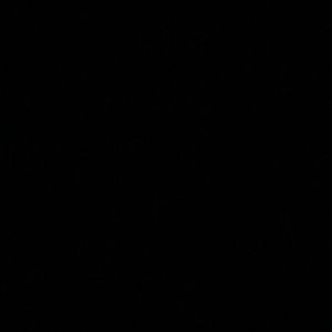 Meet your Posher, Gabriel